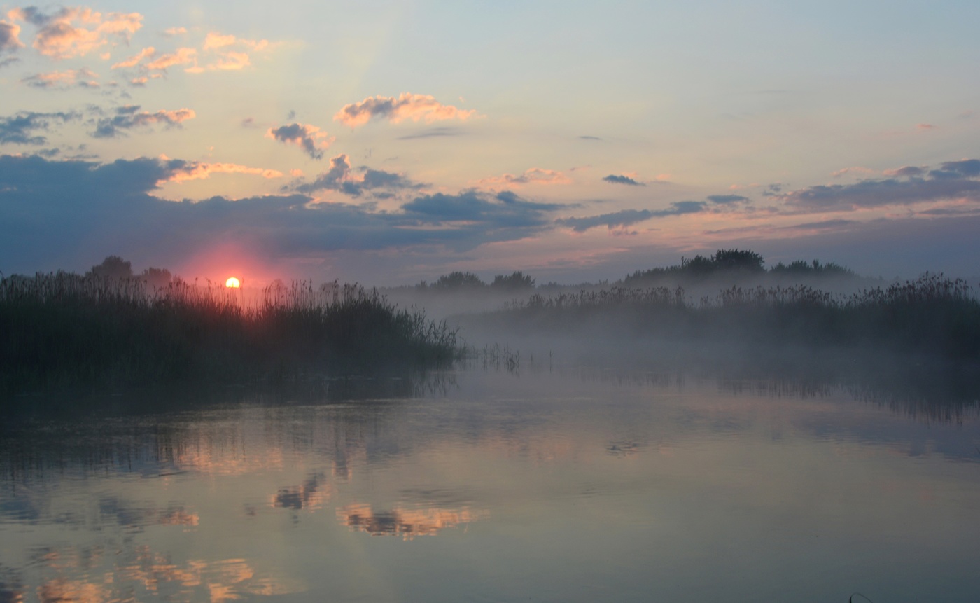 Утренний июнь
