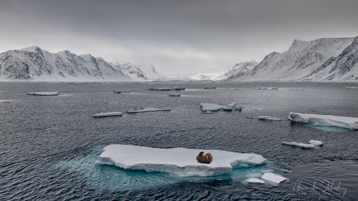 Мать и дитя
