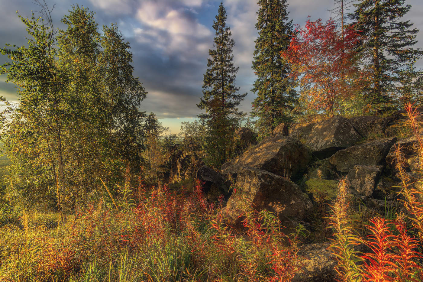 И на камнях растут цветы