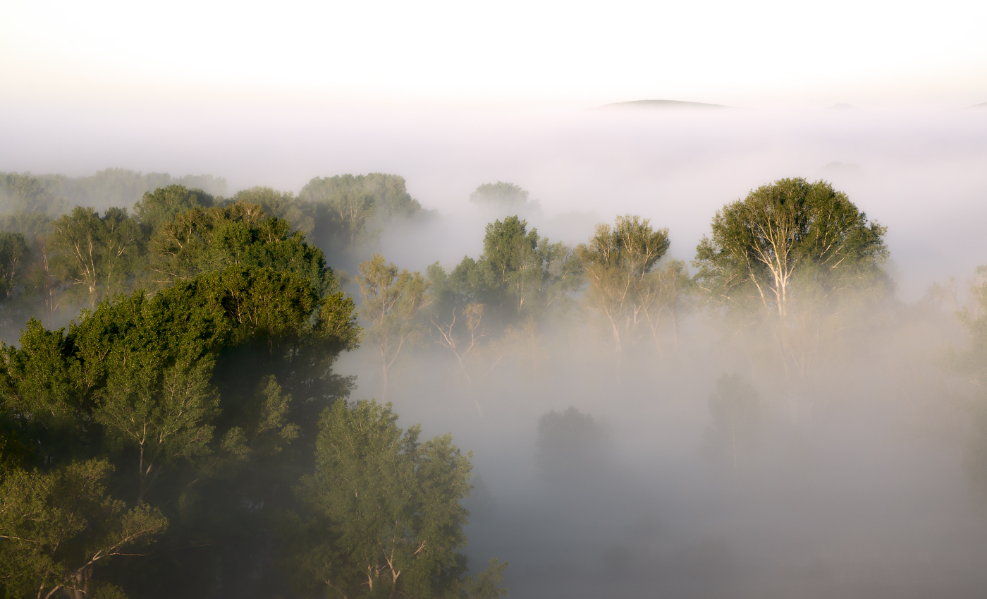 Майский рассвет