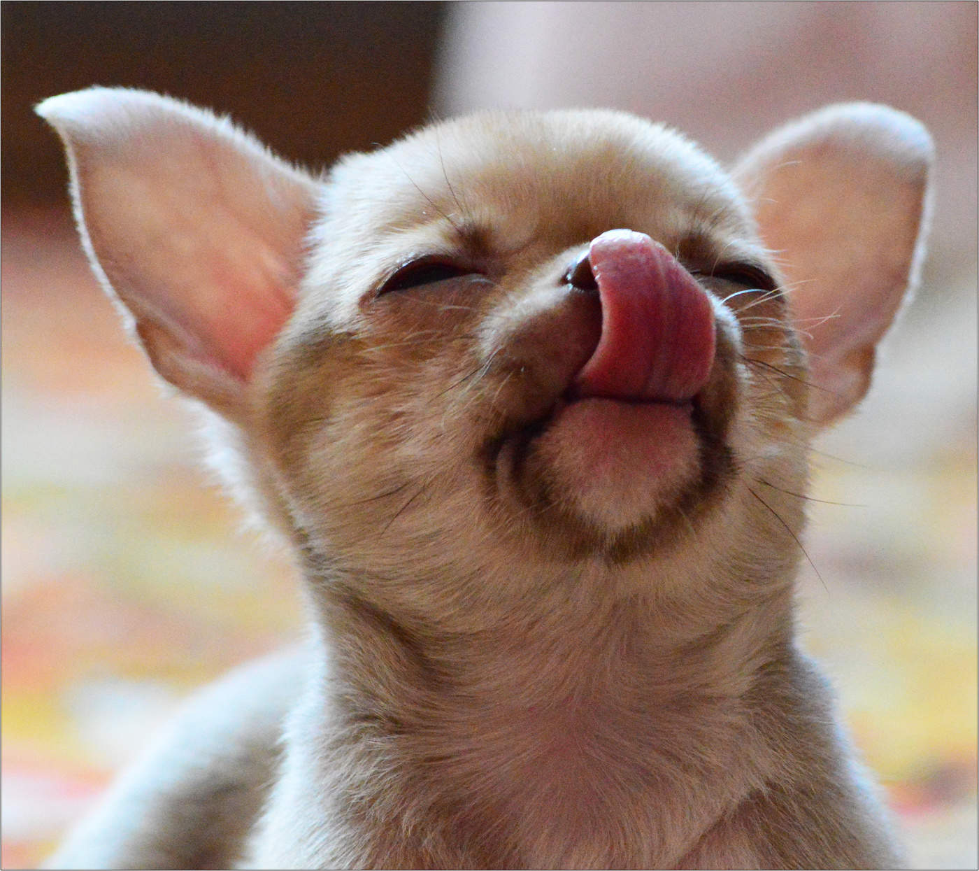 Баунти отдыхает..