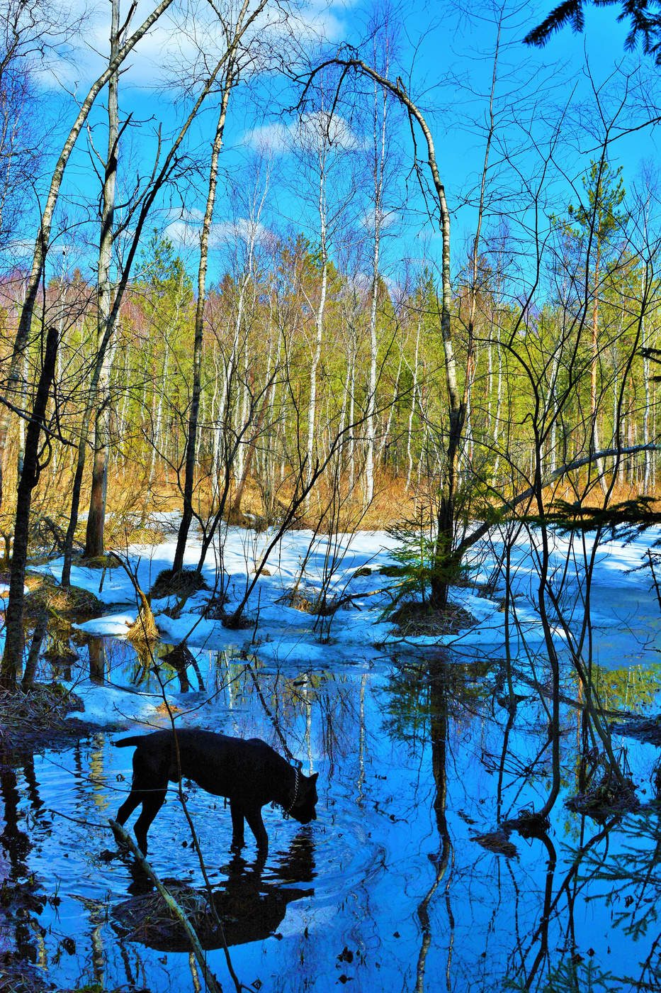 Просто весна ...