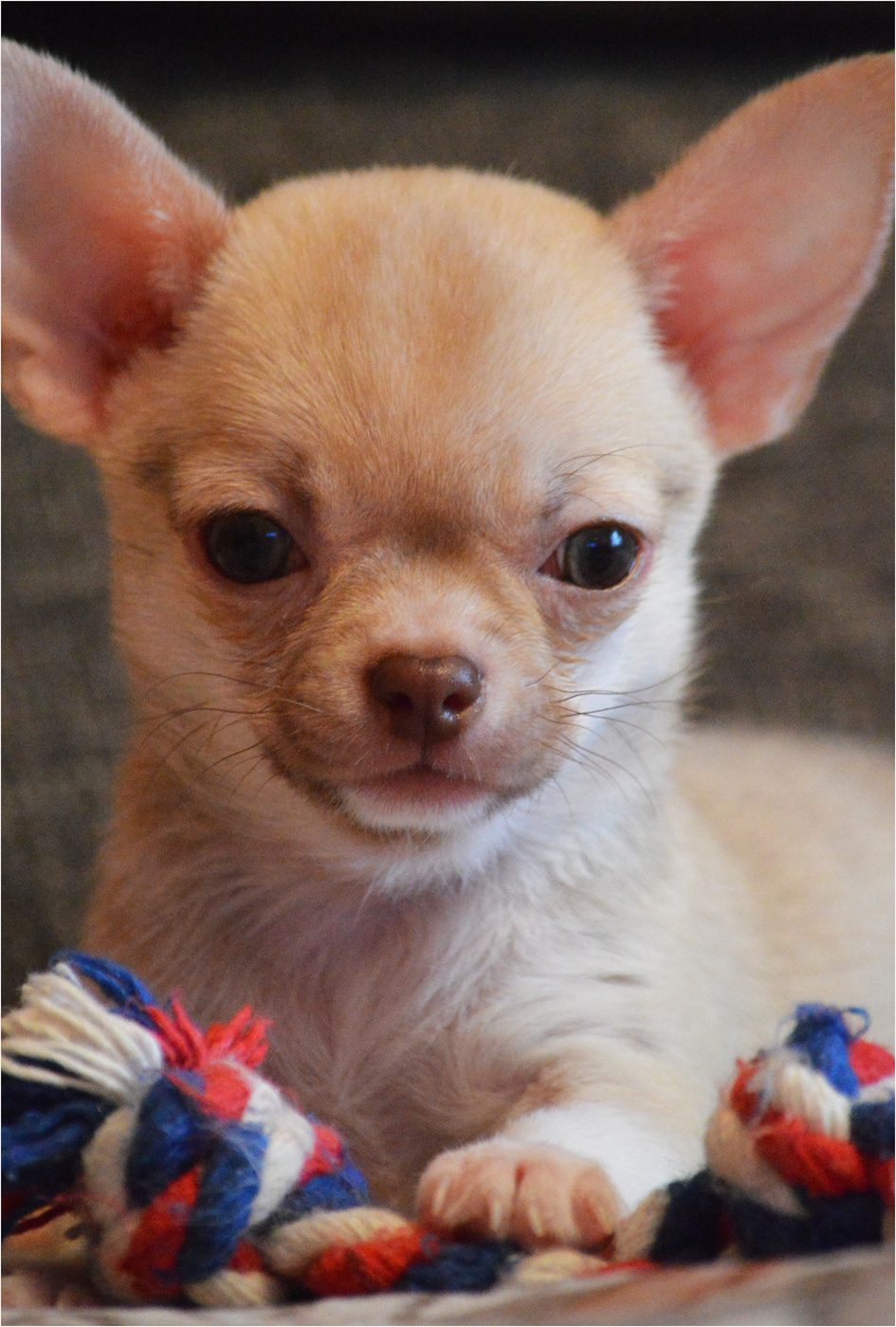 это мои вещи!!!!!!!!!!1