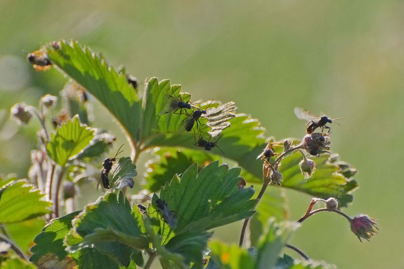 Рождённые ползать летать могут!