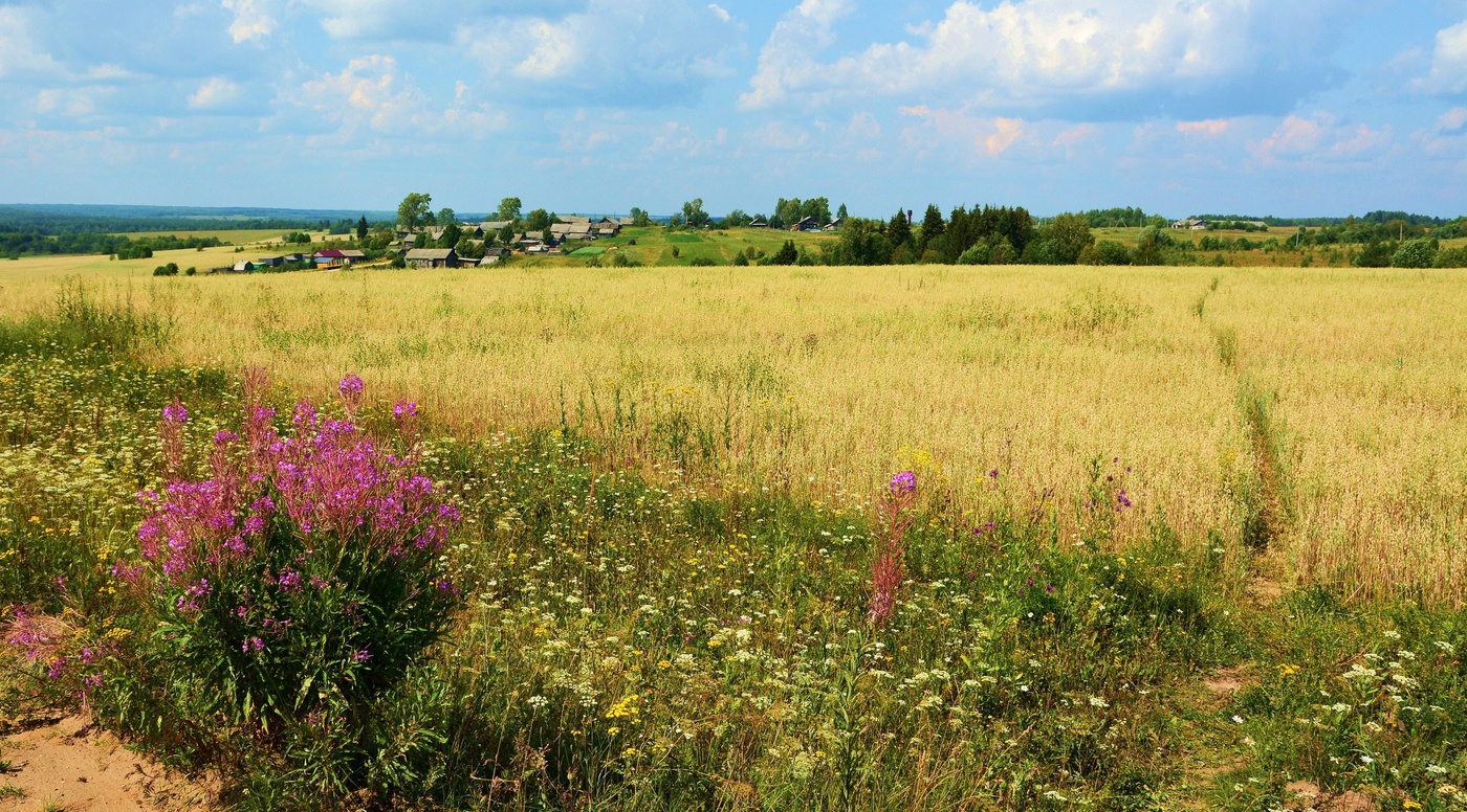 Деревушка на холме ...