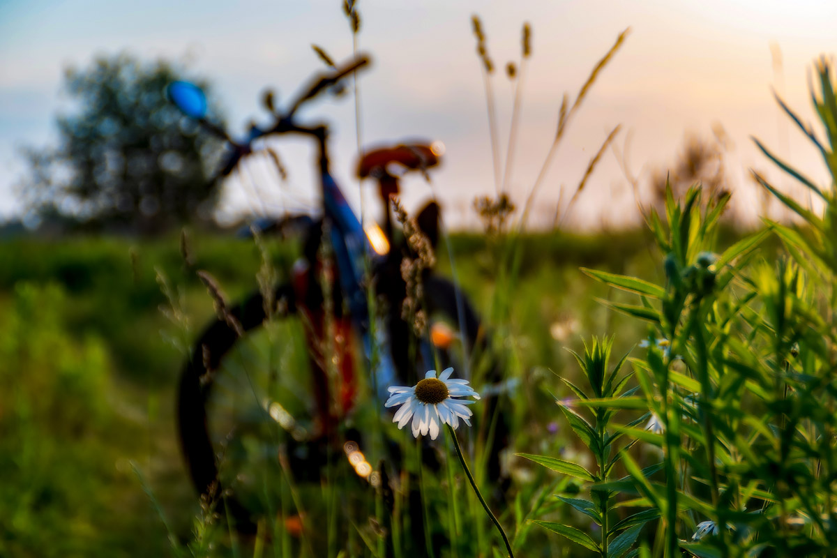 Велапрагулянка на заходзе