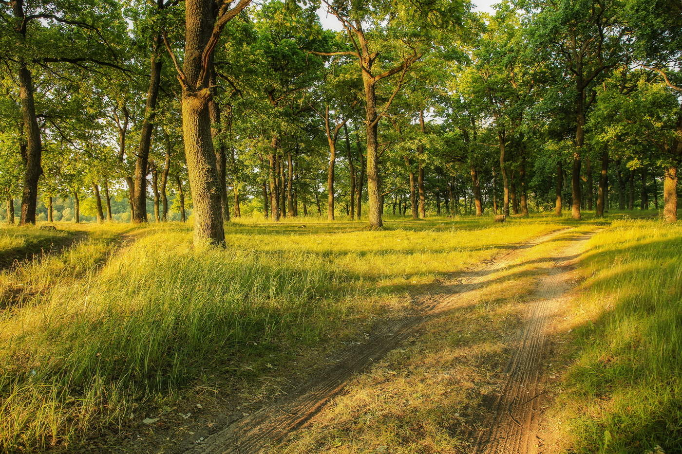 Утренняя тишина.