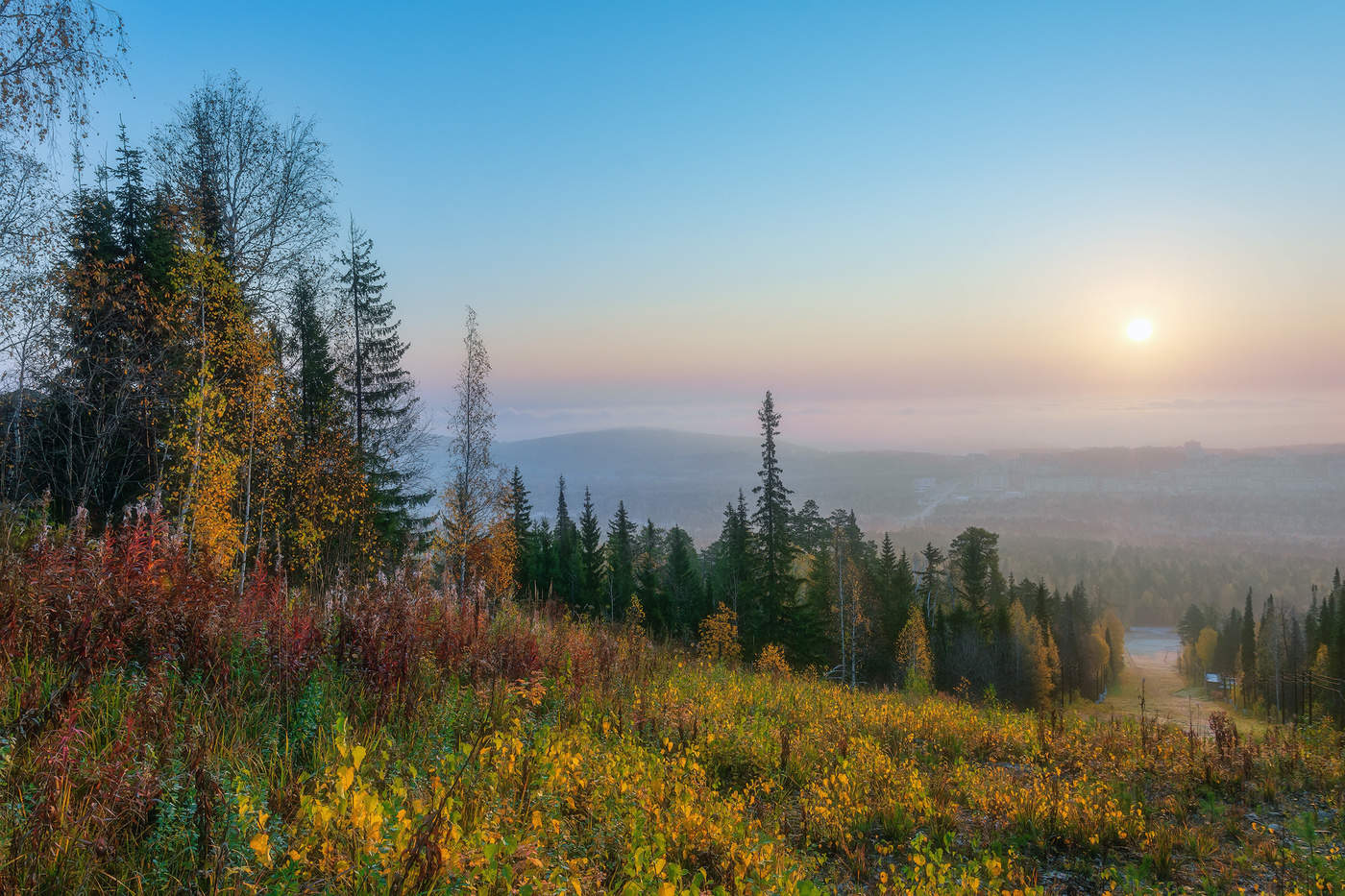 Осень, туманное утро