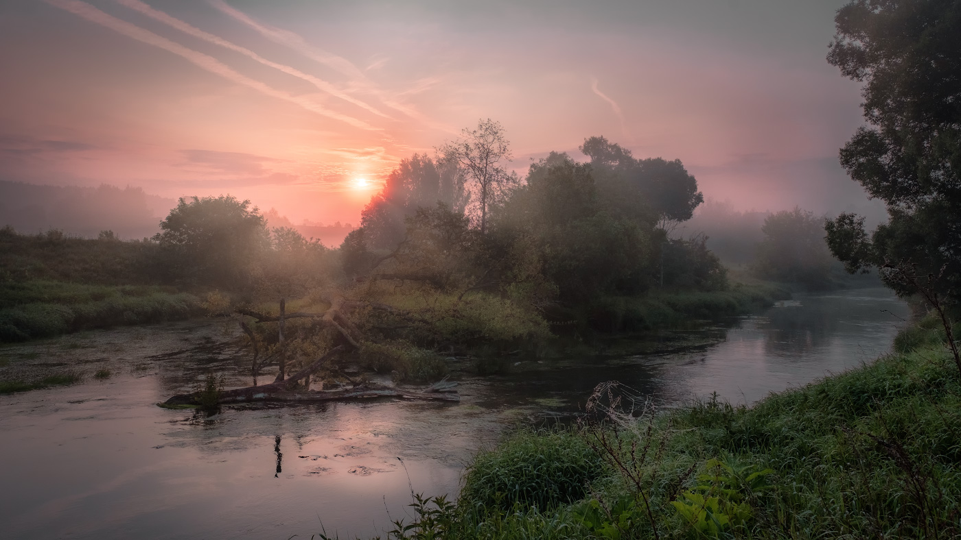 Буреломный островок