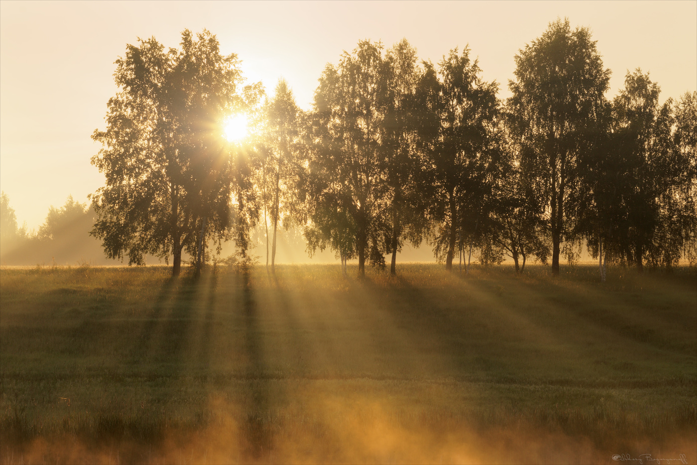 Солнечный душ.