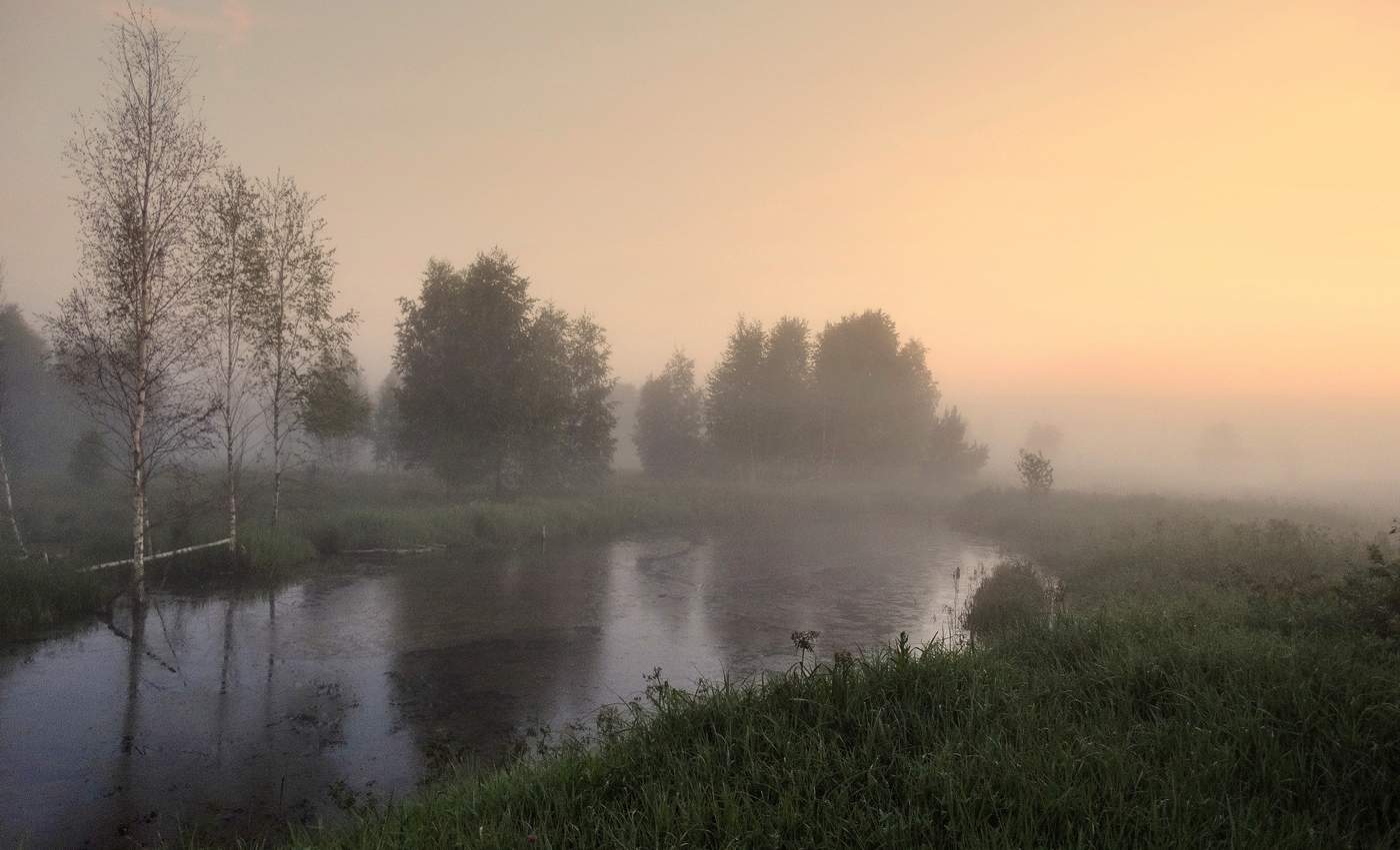 Вечерняя тишина в тумане