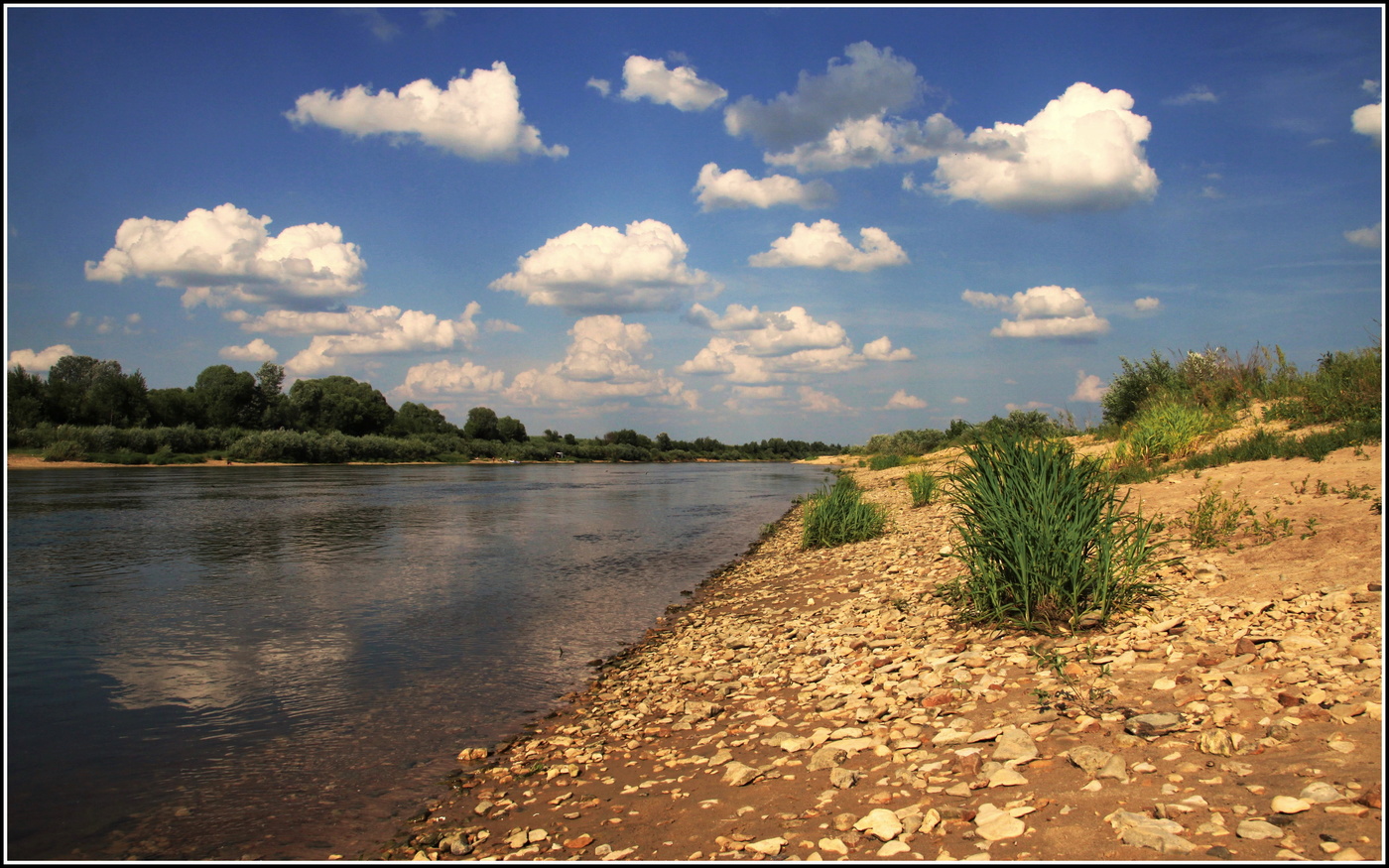 Окские берега