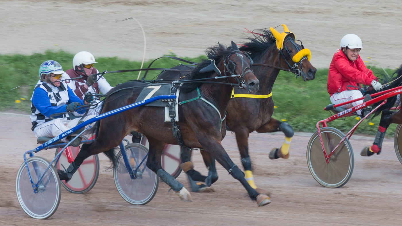 У финишного столба