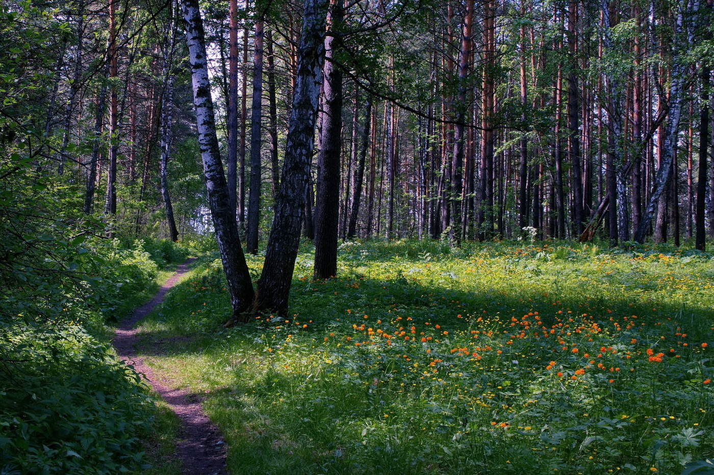 Июньским полднем.