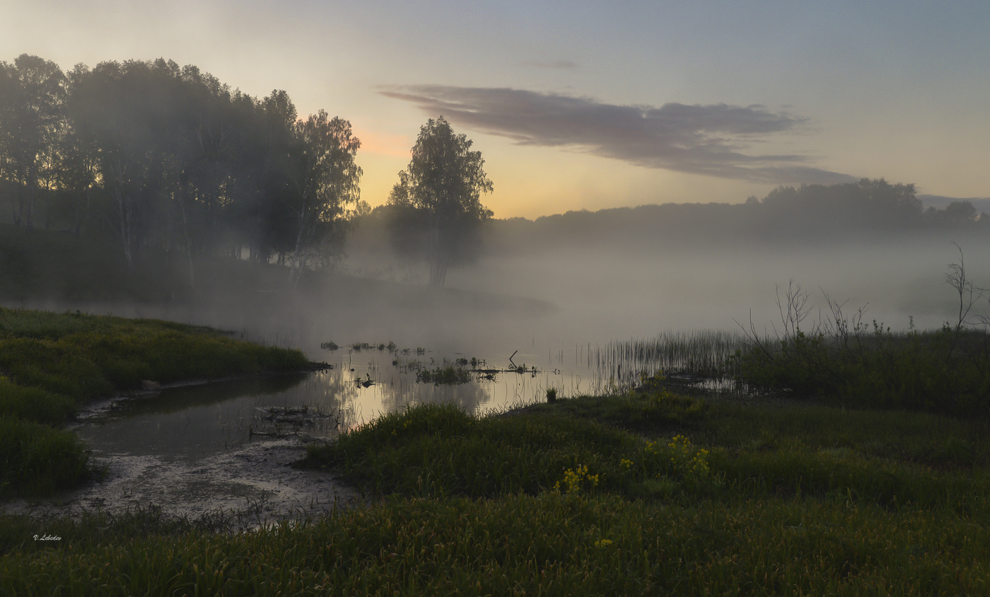 Утренняя тишина