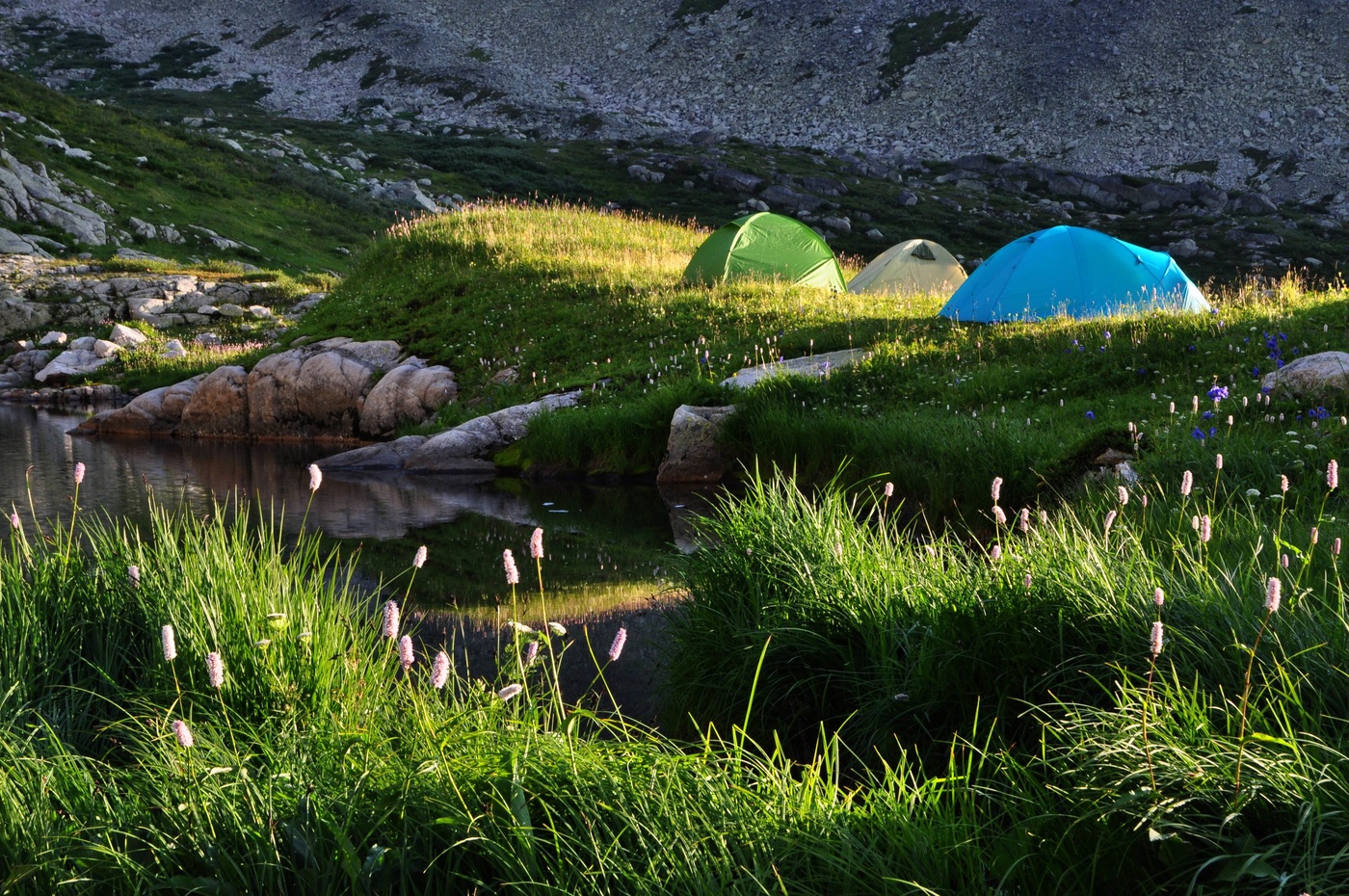 Утренняя тишина