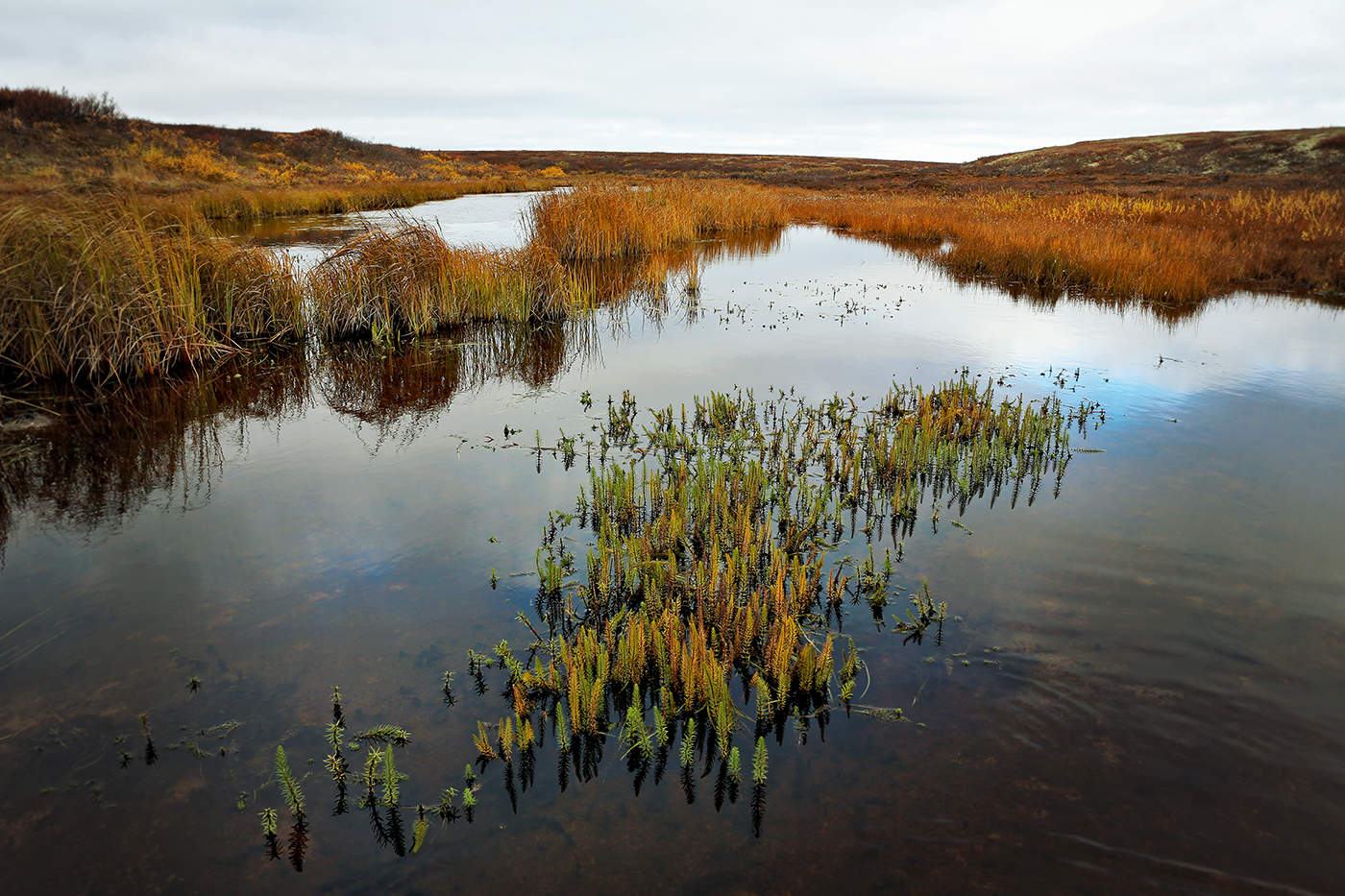 Утренняя тишина