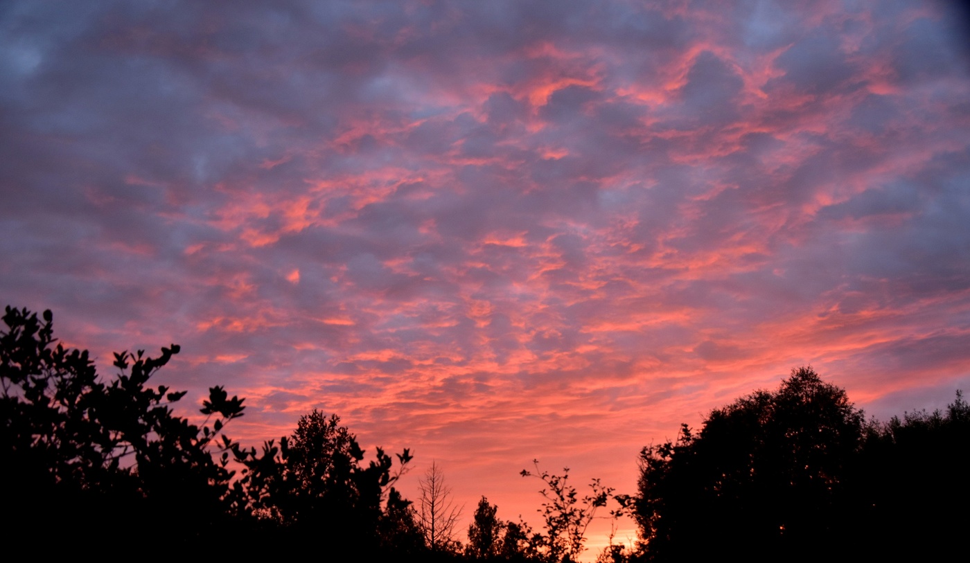 Заката огненные лики