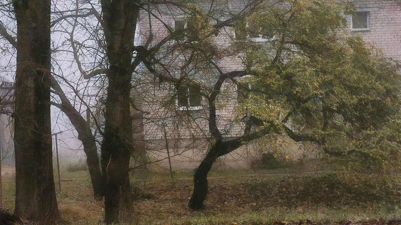 Утренняя тишина