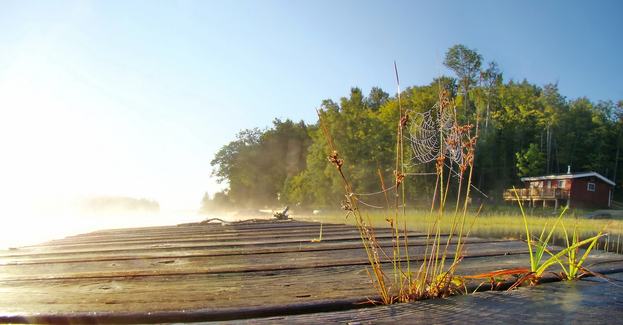 Утренняя тишина