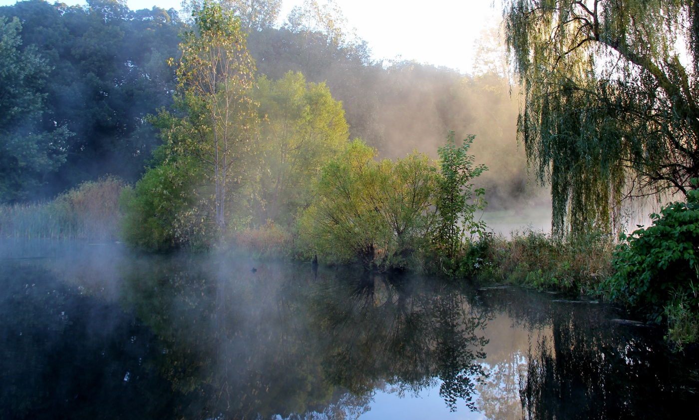 Утренняя тишина
