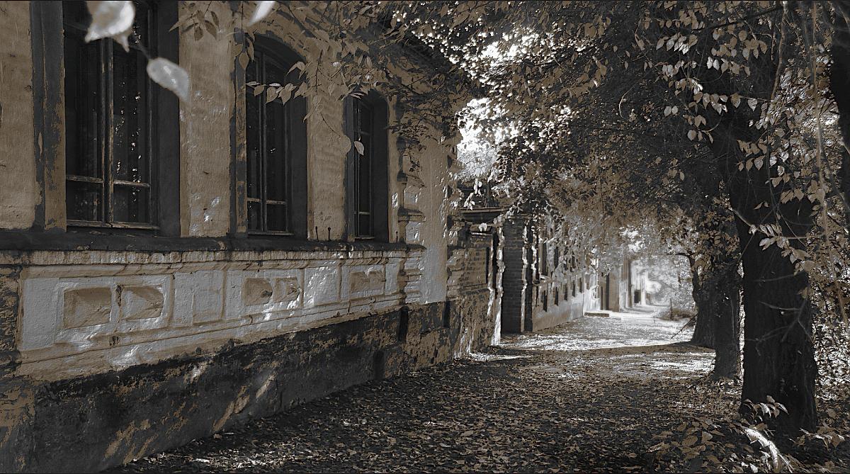 Утренняя тишина