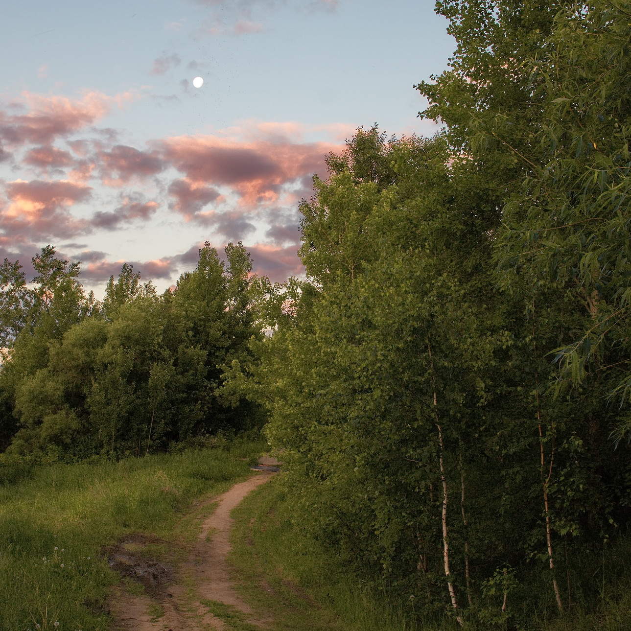 *Летним вечером.**