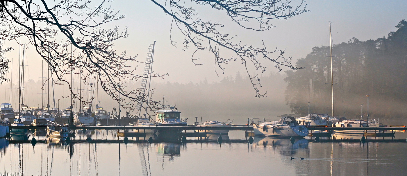 Утренняя тишина
