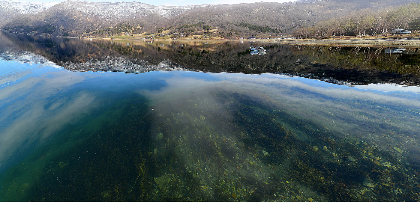 Утренняя тишина
