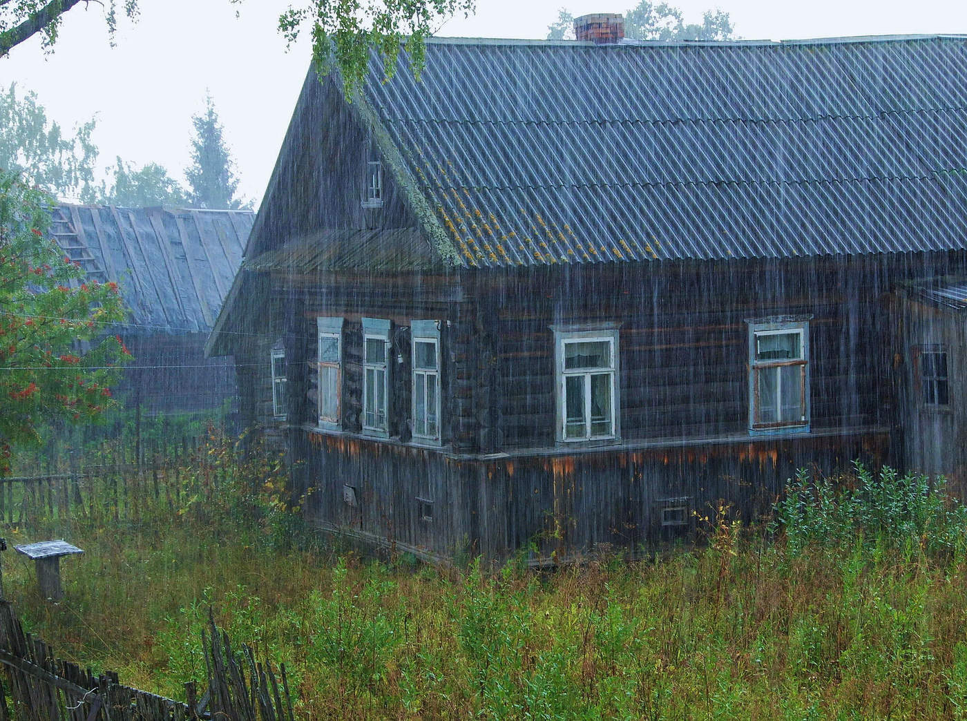 "Музыка Дождя... Она прекрасна!"