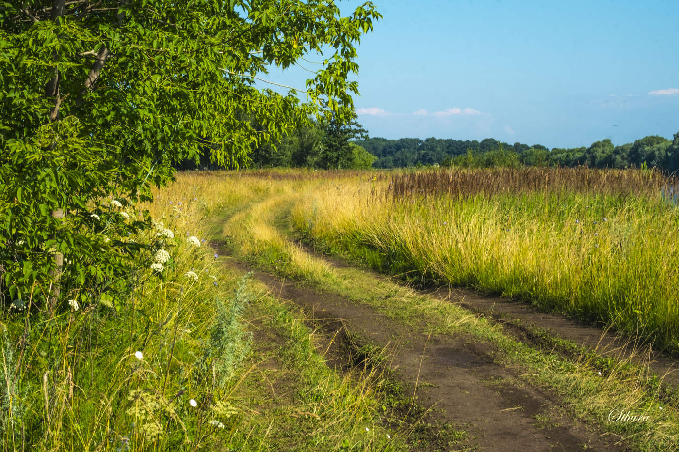 Прогулка в поле.