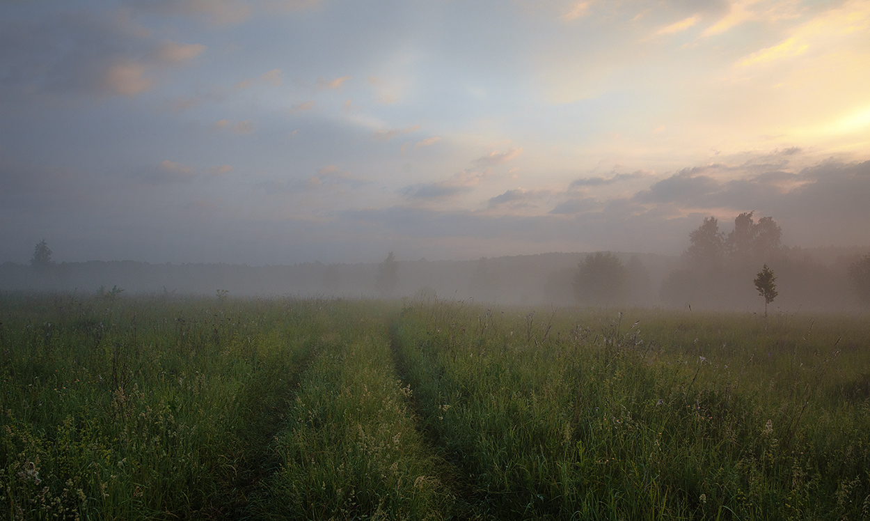 Летнее утро.