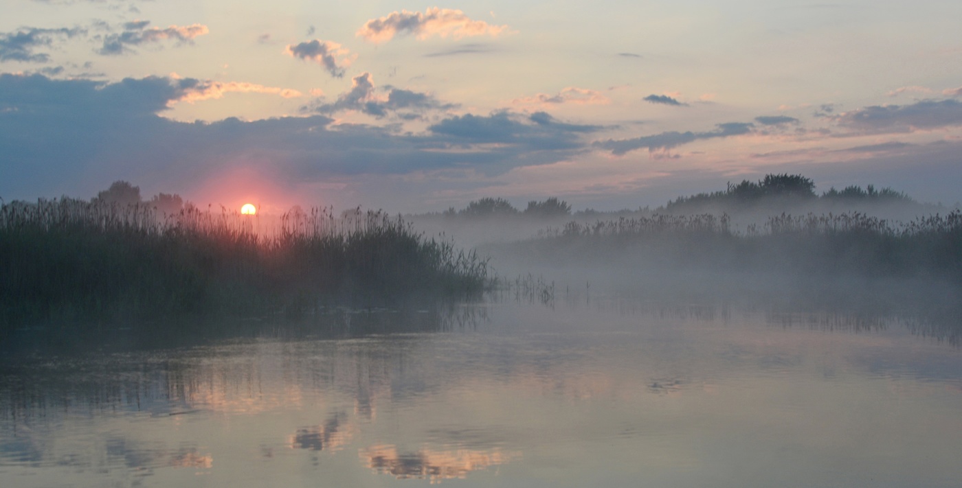 Туманный рассвет на реке