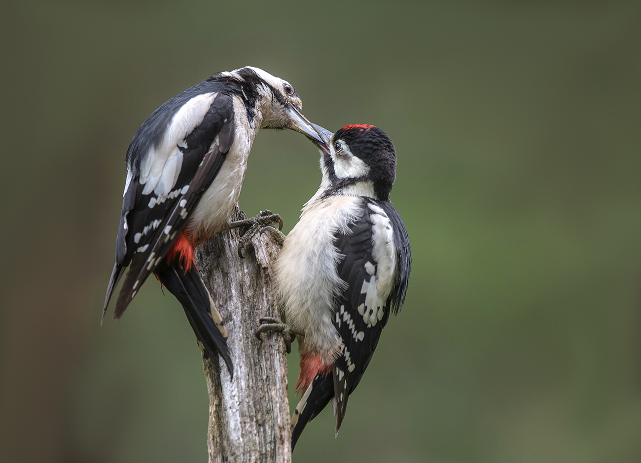 Обед с доставкой