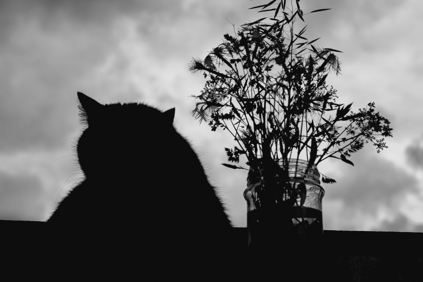 Муртюрморт