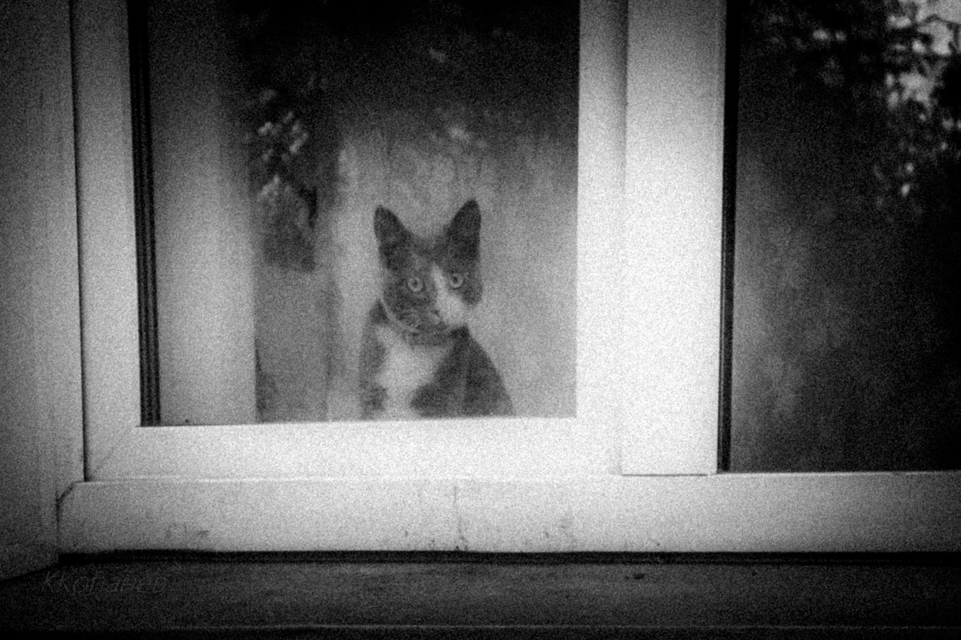 А что же там, за окном?