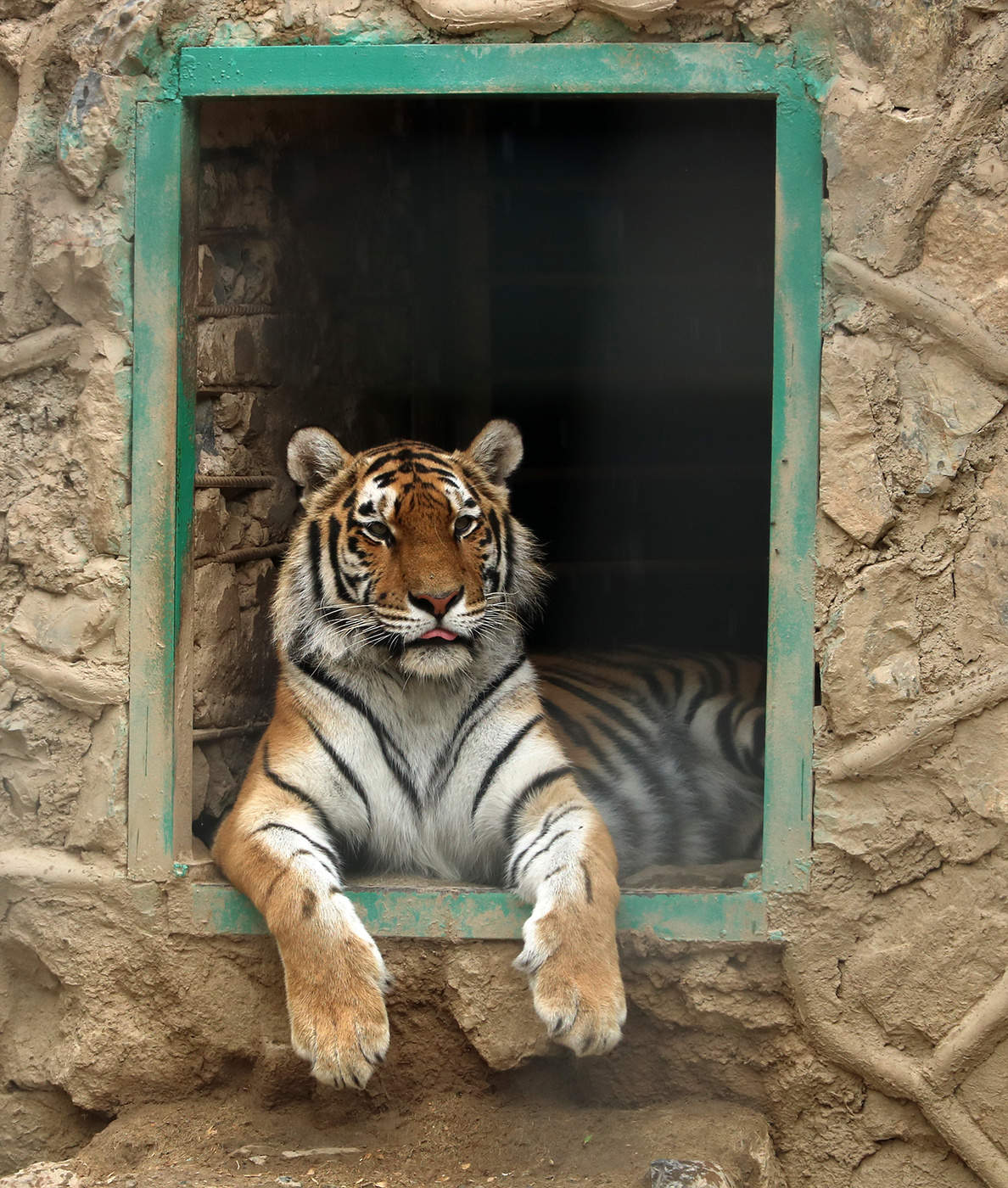 Вышел за рамки