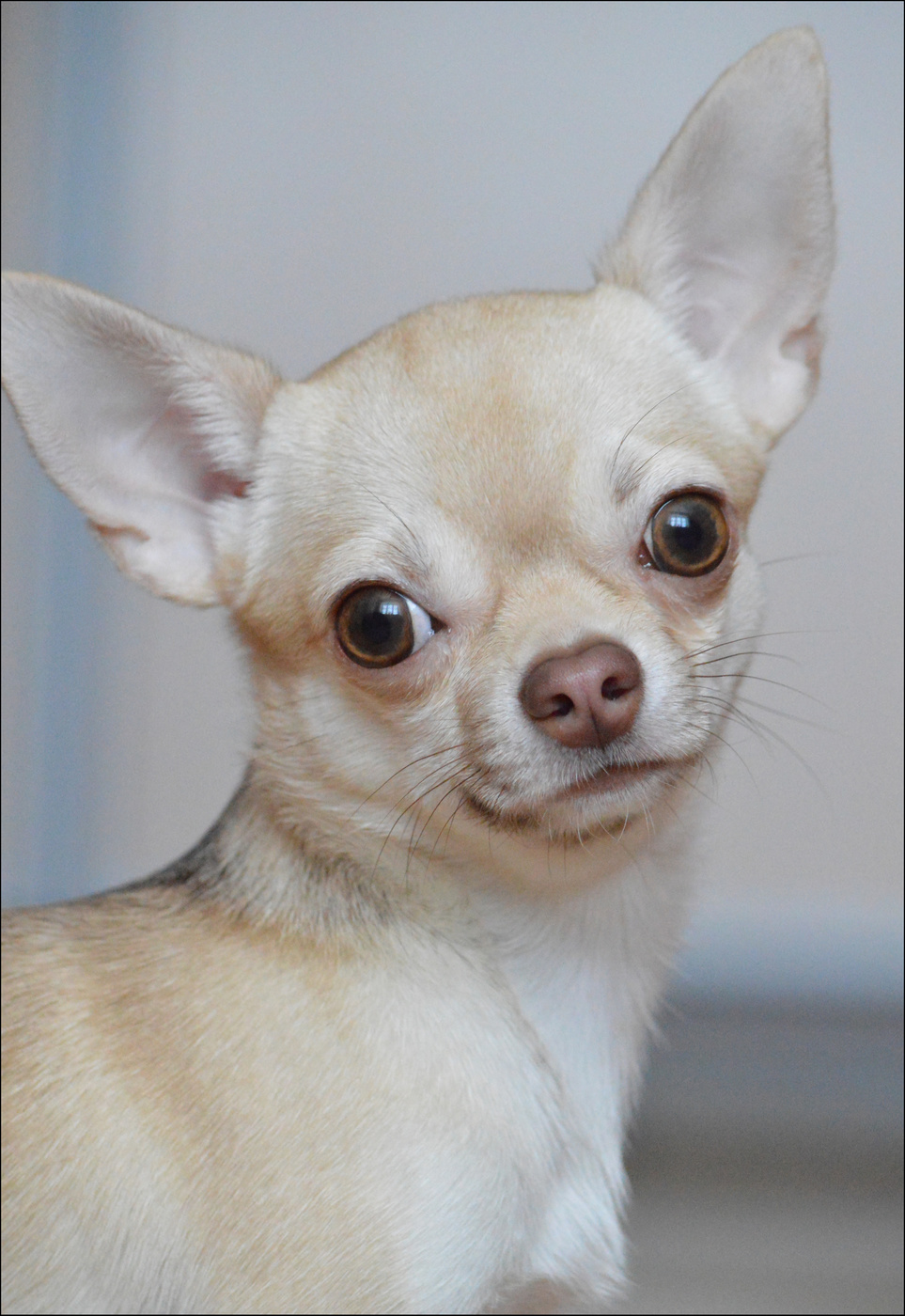 ПОРТРЕТ В СВЕТЛОЙ ТОНАЛЬНОСТИ