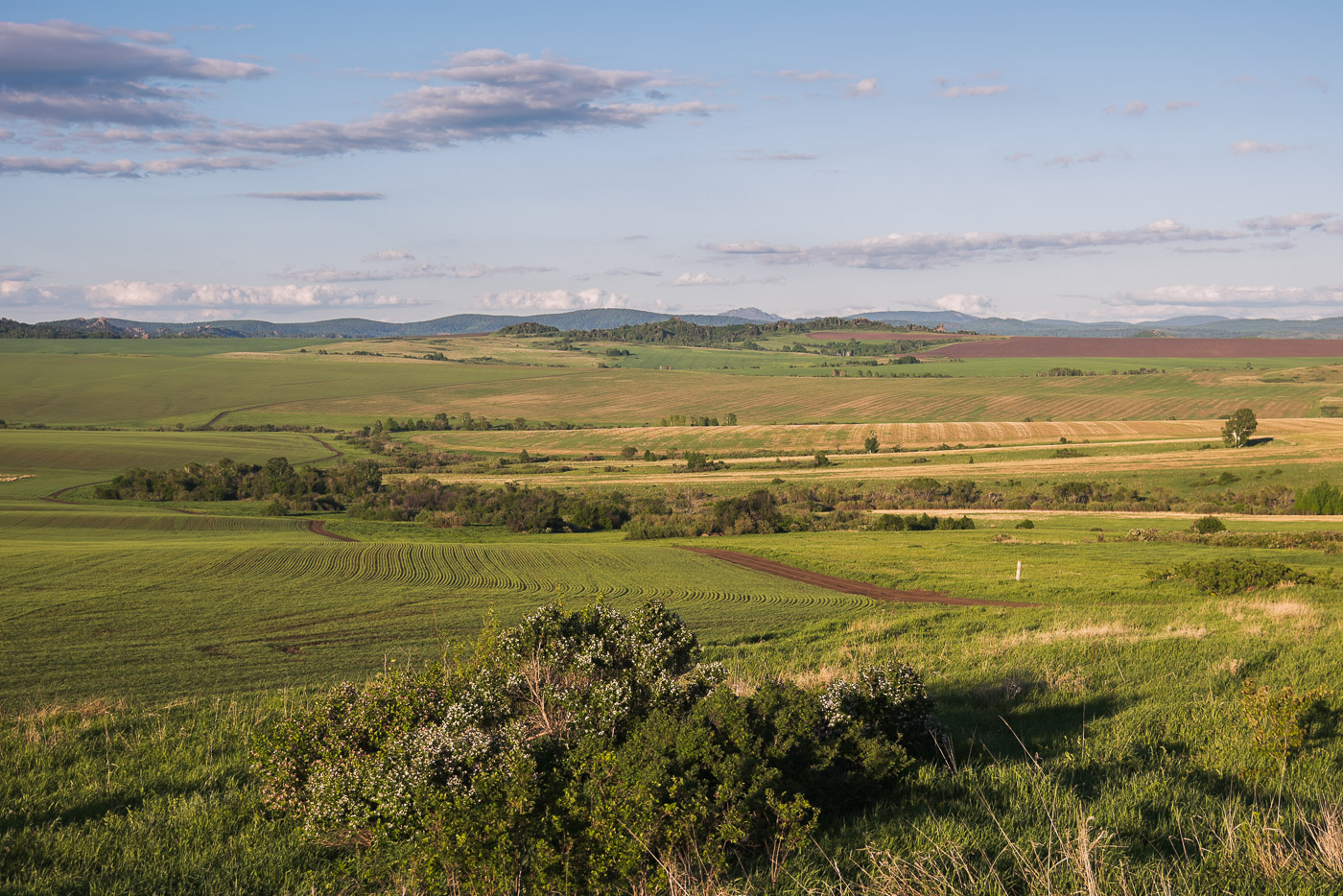 Родные просторы