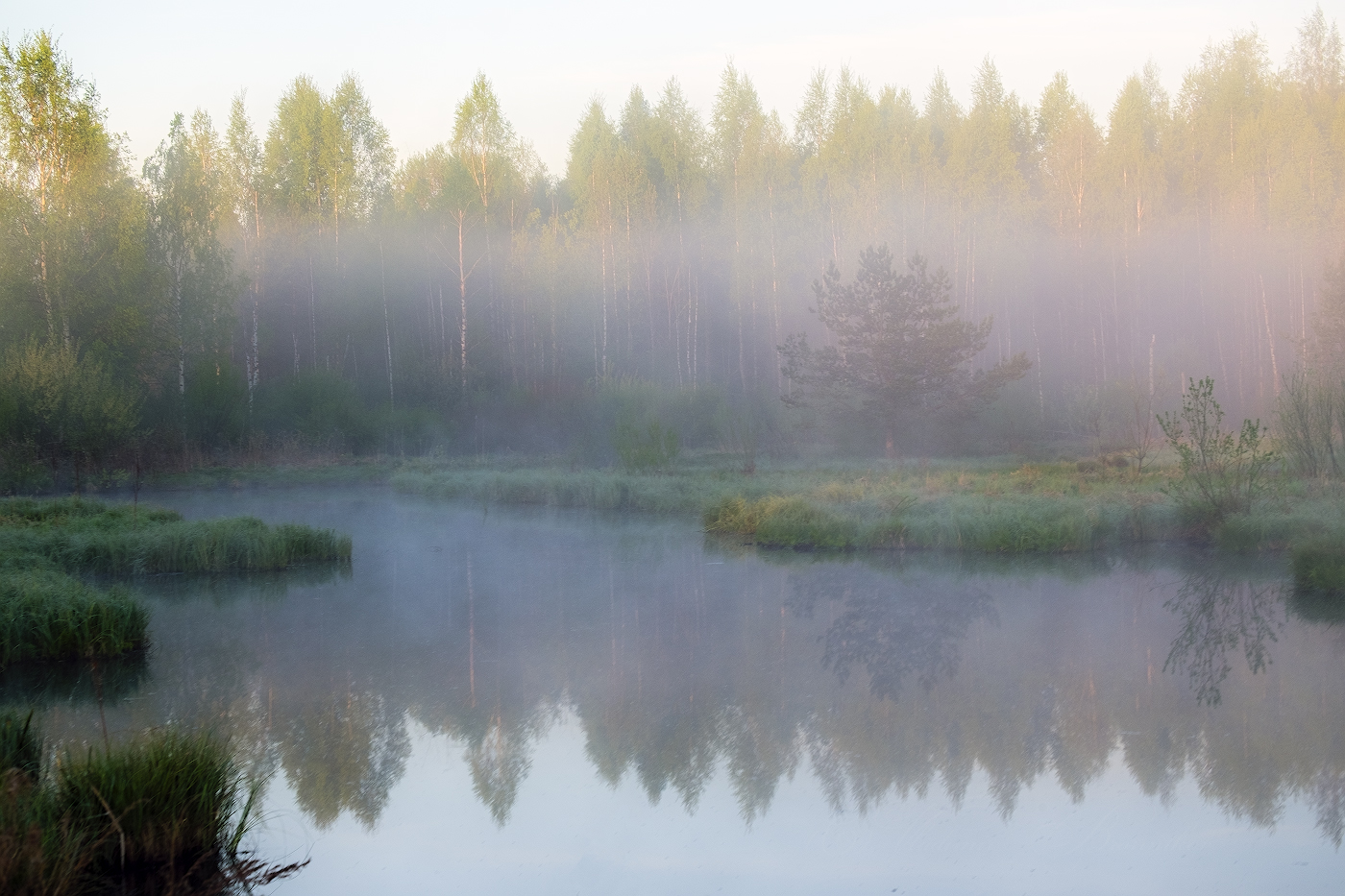 Рассвет на лесной речке