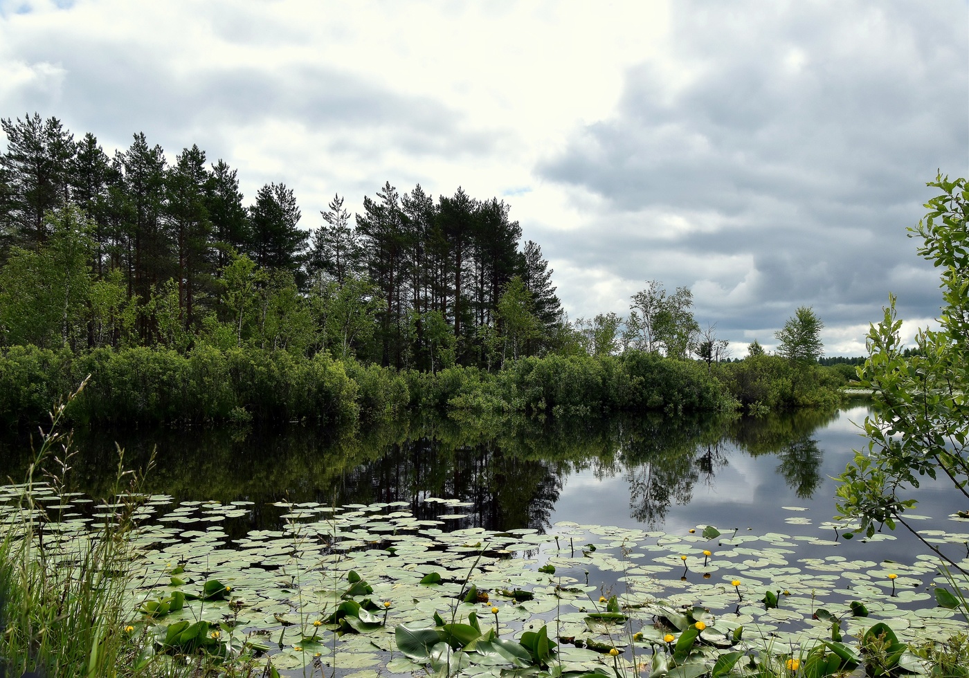 Налетели тучи,рваные,лохматые