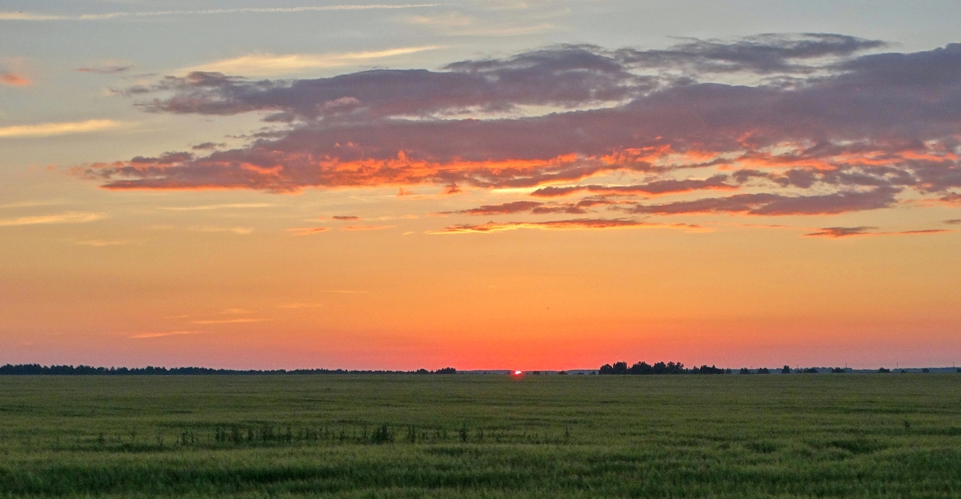 Алая вечерняя заря