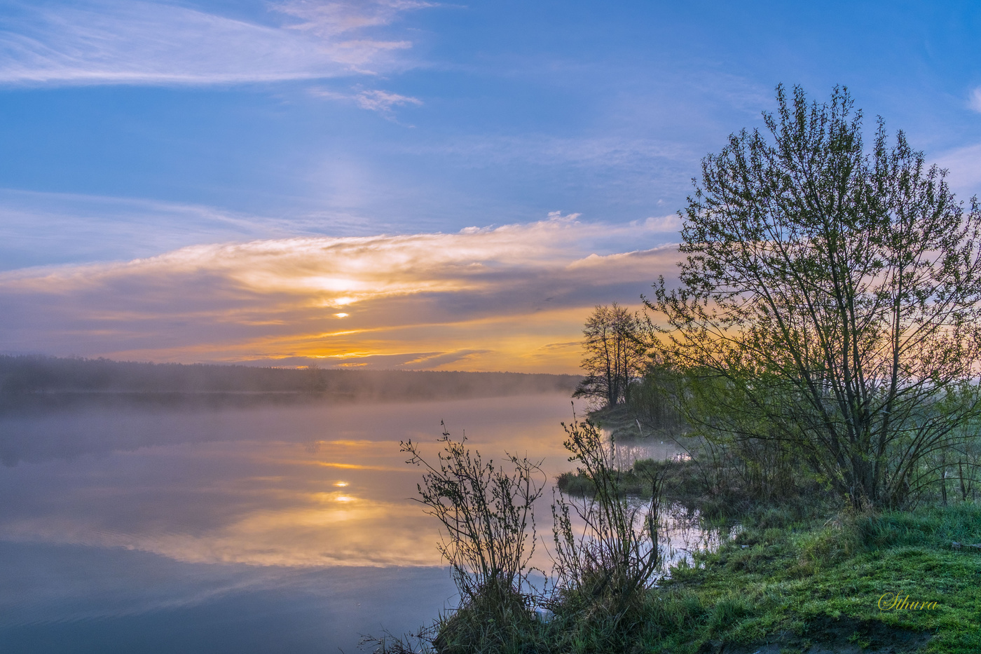 Весеннее утро.