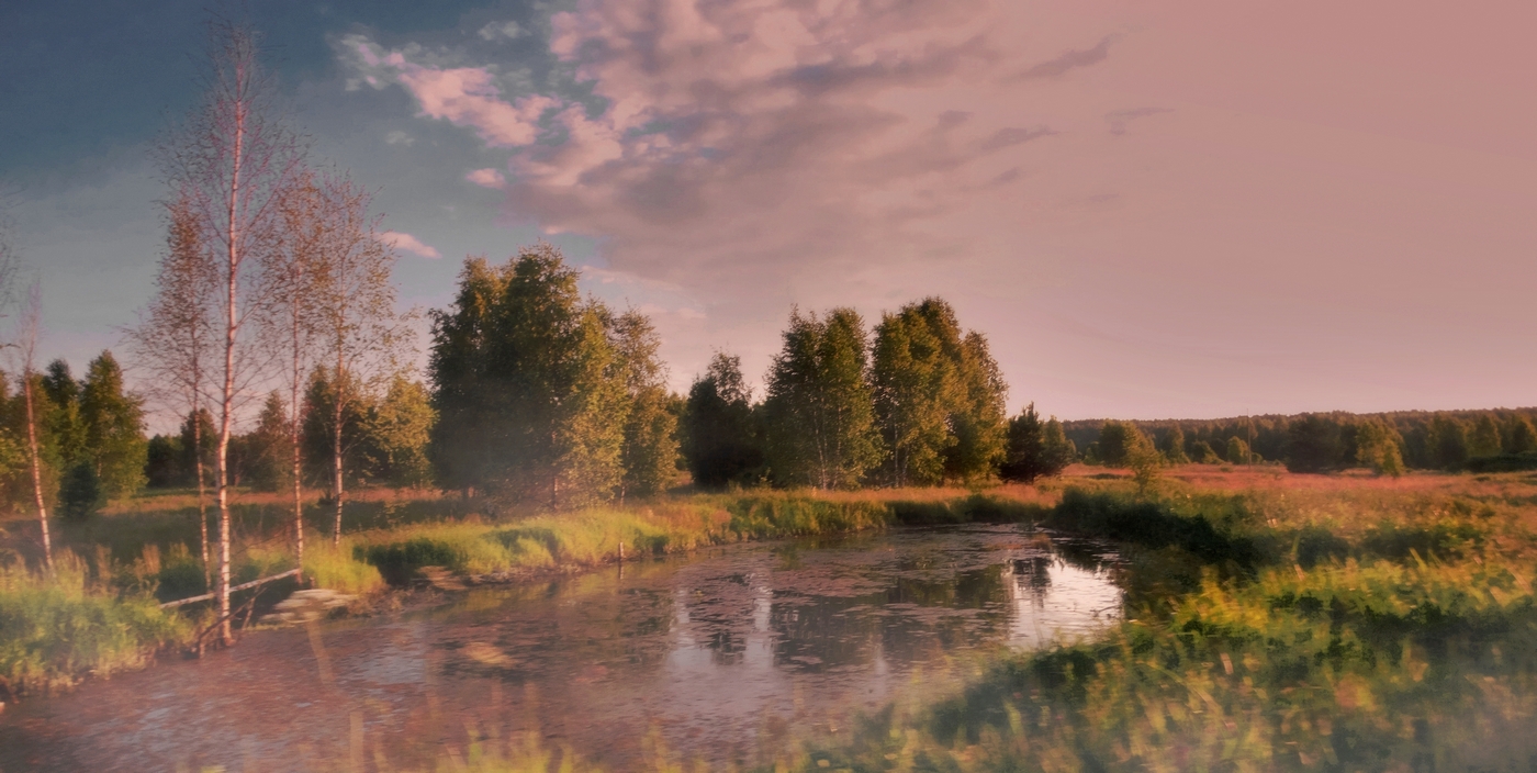 Вечерняя летняя зарисовка