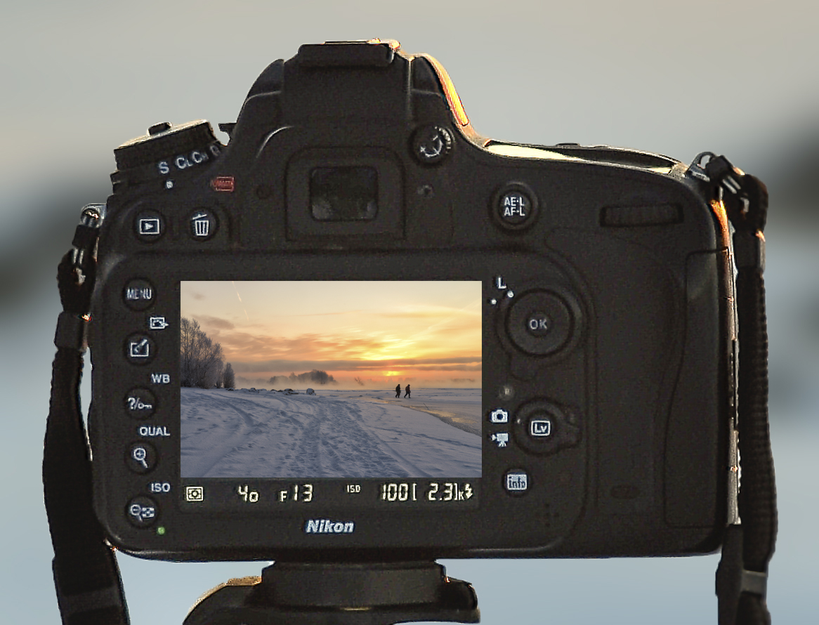 репортаж об одном зимнем утре