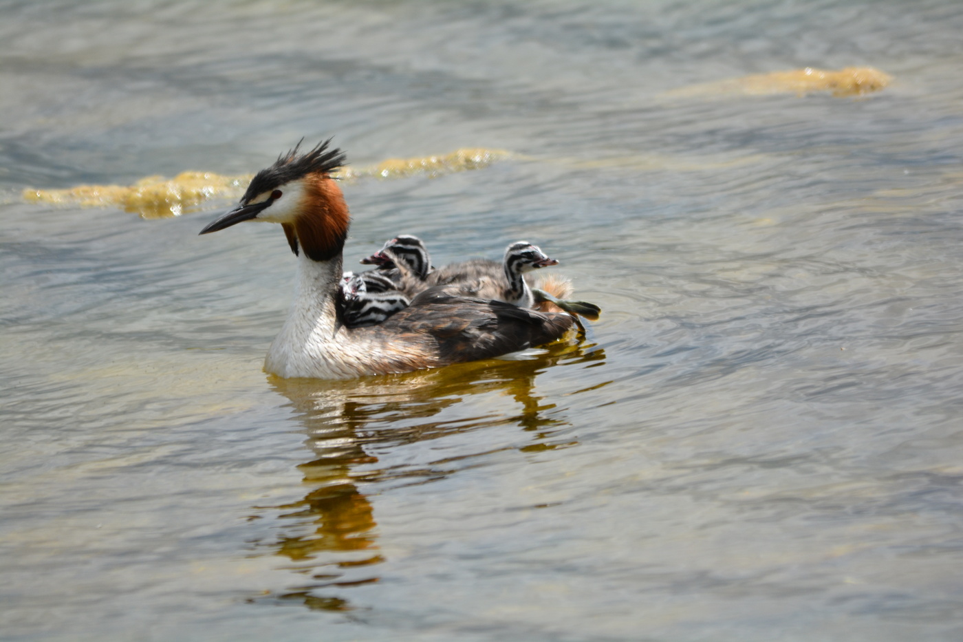 С мамой хорошо.