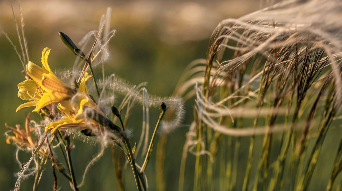 Вечером с солнышком...