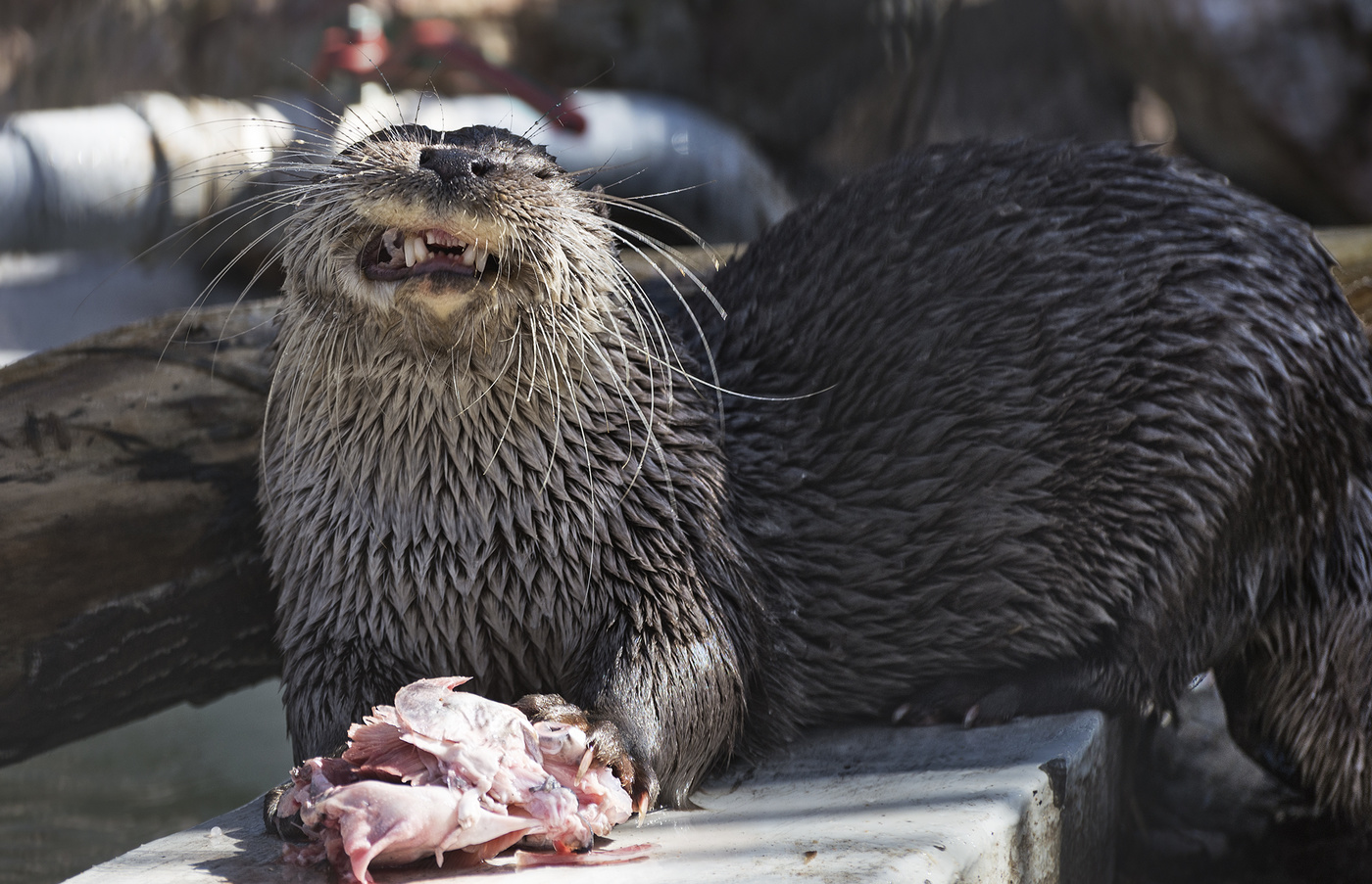 Неожиданный поворот