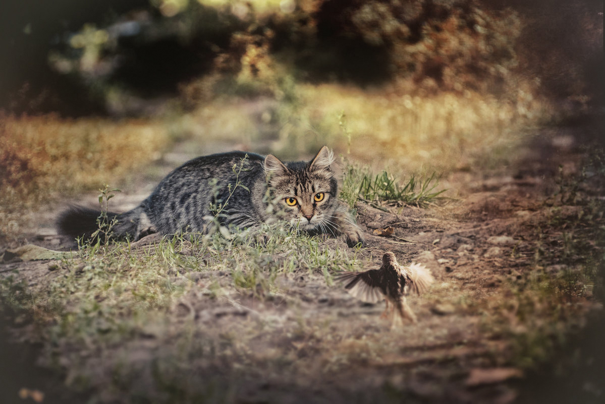 Неожиданный поворот...