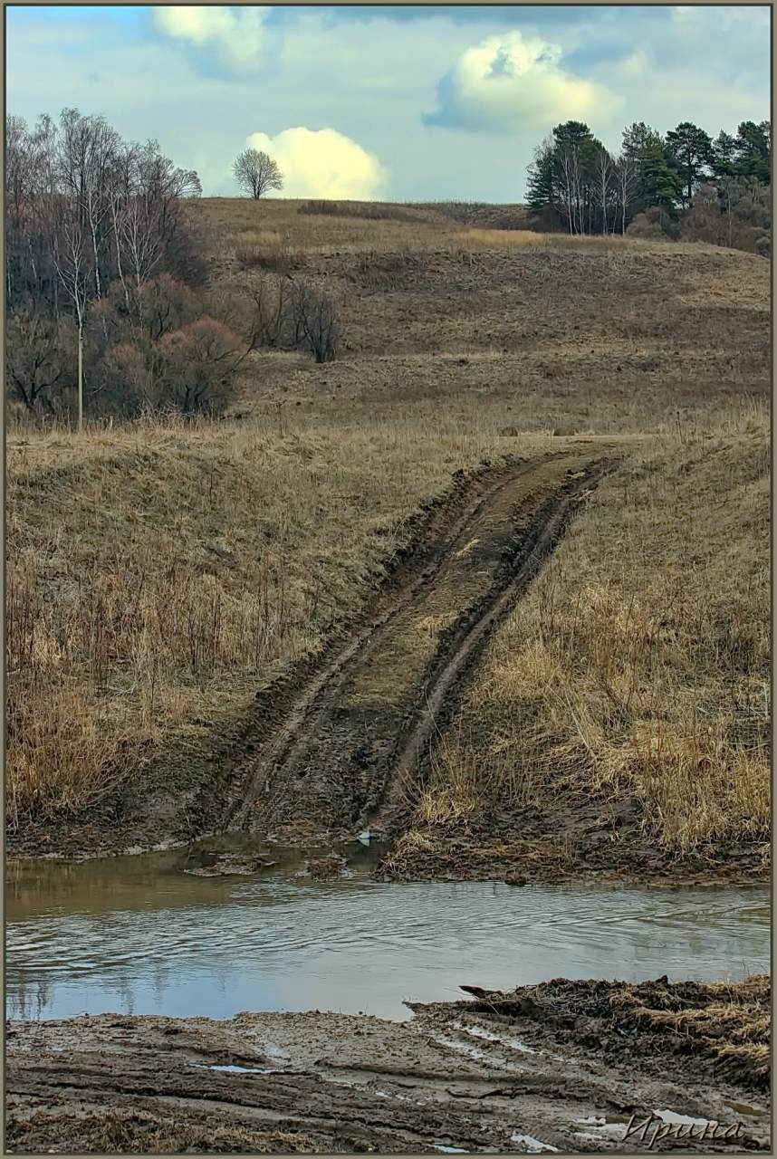 Неожиданный поворот